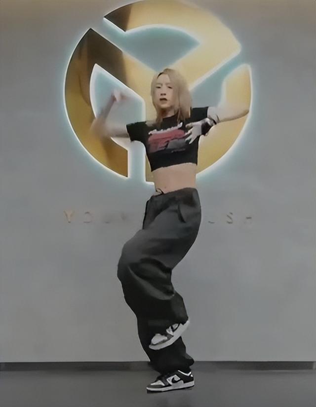 少女版小苹果背面分解教程15苹果promax灵动岛玩法-第1张图片-太平洋在线下载