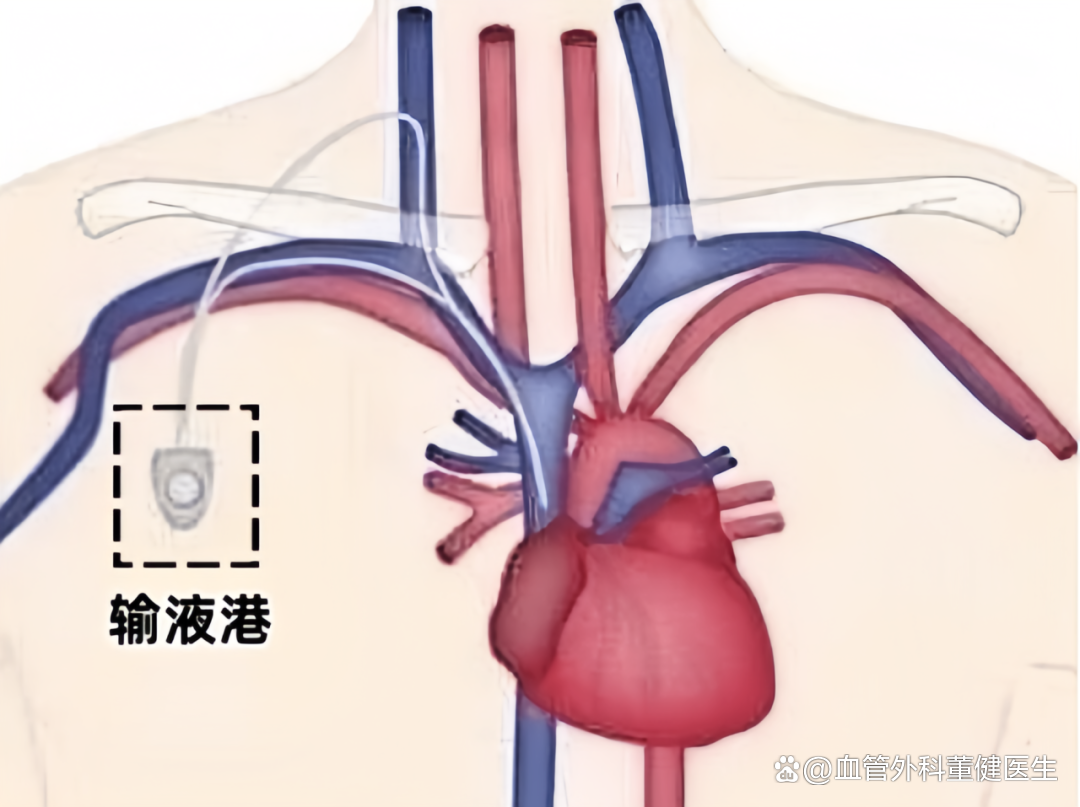 dsa下载安卓版善领dsa大屏安卓版-第1张图片-太平洋在线下载