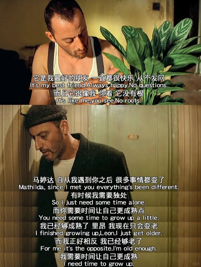 杀手不太冷手机版教学杀手手机版下载安装免费-第1张图片-太平洋在线下载